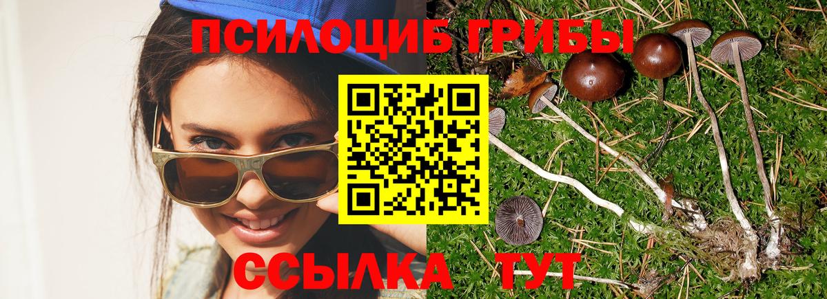 продажа наркотиков  Псилоцибиновые грибы ЛСД  Псилоцибиновые грибы MAGIC MUSHROOMS  Вход с VPN  Славянск-на-Кубани 