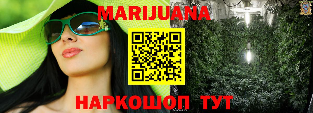 Бошки Шишки гибрид Славянск-на-Кубани